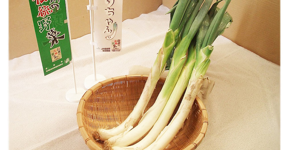 江戸時代から伝わる伝統野菜 松本一本ねぎ Lifestyle Academia